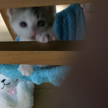 手作りハンモックにいるところ