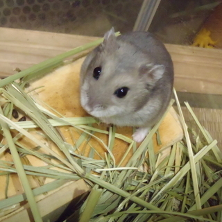 良縁に恵まれました。