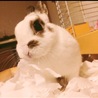 あべまりかさん