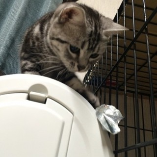 決定☆『メリィ』人が好きすぎて・・・傍に居たい！！