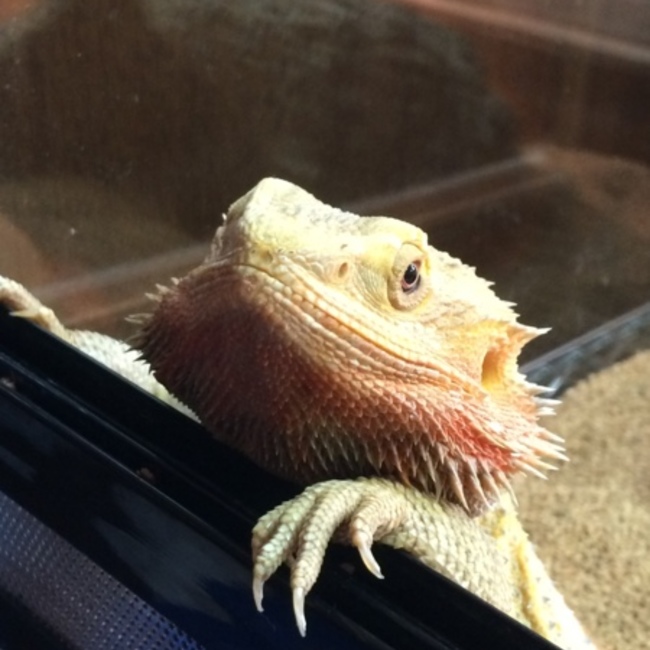 K09のカバー写真