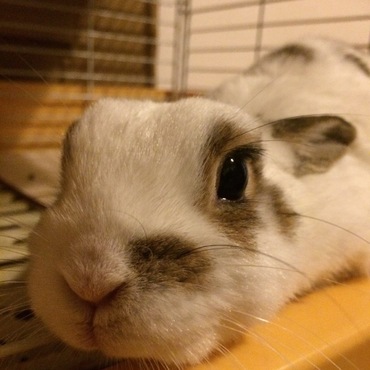 の写真