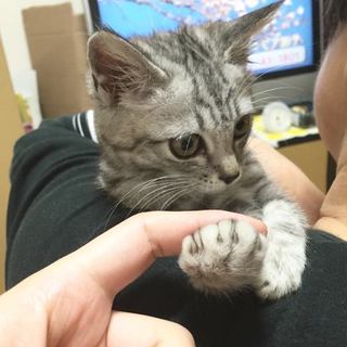 生後3ヶ月くらいの男の子です。