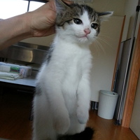 くろ