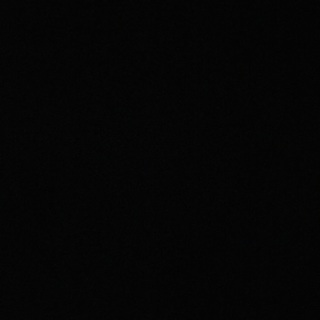 素敵なお宅に巣立ちます