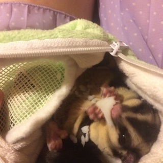 交涉中のため、一時停止