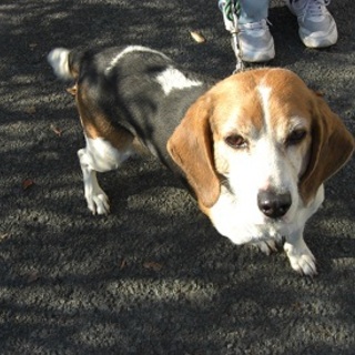 新しい家族ができました！！