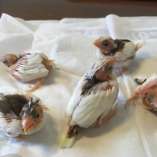 多数の応募、ありがとうございました！