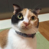うづき