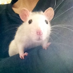 ひさびさびさびさ