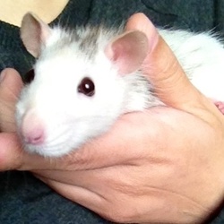 「ひさびさびさびさ」サムネイル2