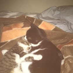 仲良くなってきた*\(^o^)/*