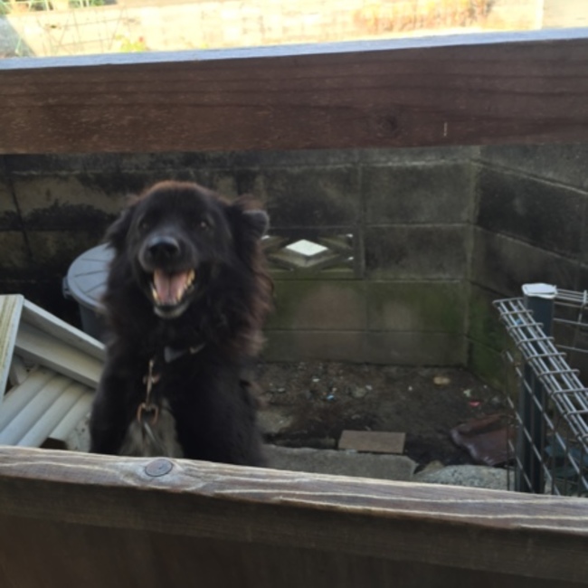 水谷@のカバー写真