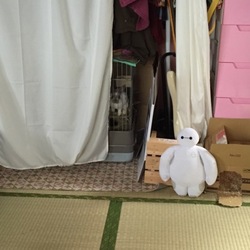 早く起きろよ！
