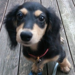 未知なる生物との遭遇