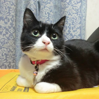 沢山のご応募有難うございました。