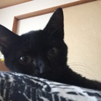 ルナ