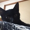 ルナ
