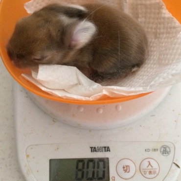 ベージュにグレー混じりな感じです。