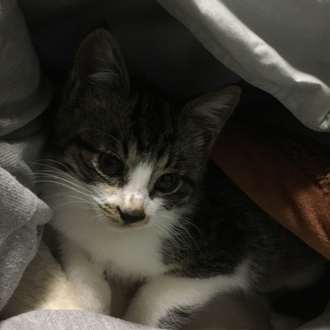 今はこんな感じ^ ^可愛くなりました^o^