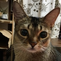 るぅ