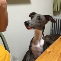 ダグロ