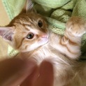 人好き猫好きおっとりヒロシ君