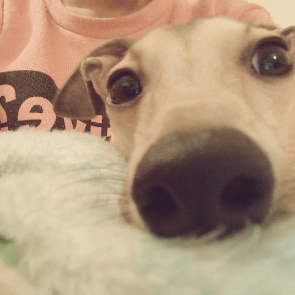 レオンのカバー写真