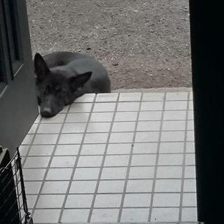 一時中止いたします