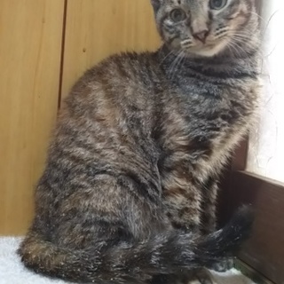 今年生まれのマイペースな女の子♪