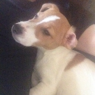 よく脇におさまってた頃