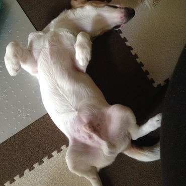 しんどないん？その姿勢