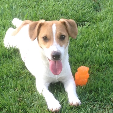 よく遊んだなぁ