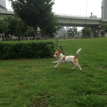 天気はいまいちやったね