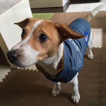 防寒対策もばっちり