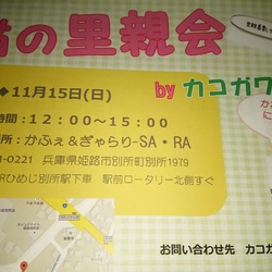 カコガワcat猫の里親会