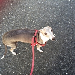 お散歩❤️❤️