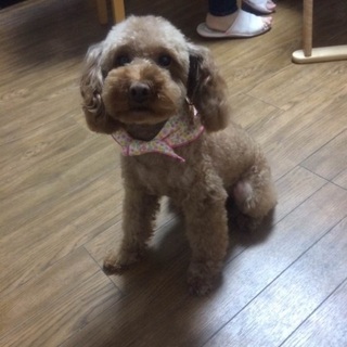 3歳半❤️おとなしい女の子