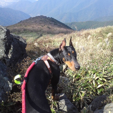 福智山山頂(福岡県直方市)にて