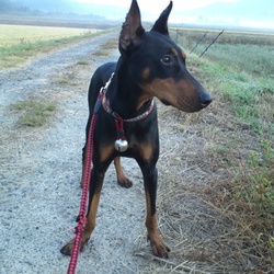 初投稿 交通事故に合う、俺がね