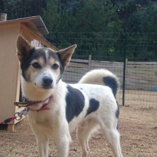 ウルフくん名古屋のお宅に迎えていただけました