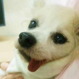 ★★人が大好き！！ペコちゃん★★