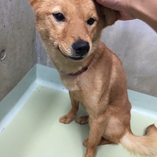 まだ若い女の子、小さめです！