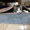 遊木さん
