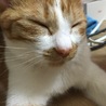 あさのん