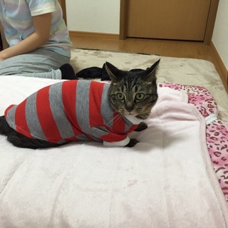 買っていただける方募集です！爪もとってあります。