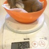 もうそらそろ目が開くかな？