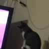 見てわかるのかな^ ^