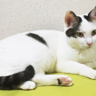 ありがとうございました