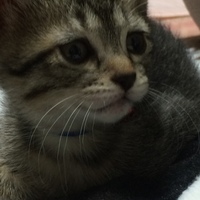 Mちゃん